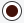 radio button